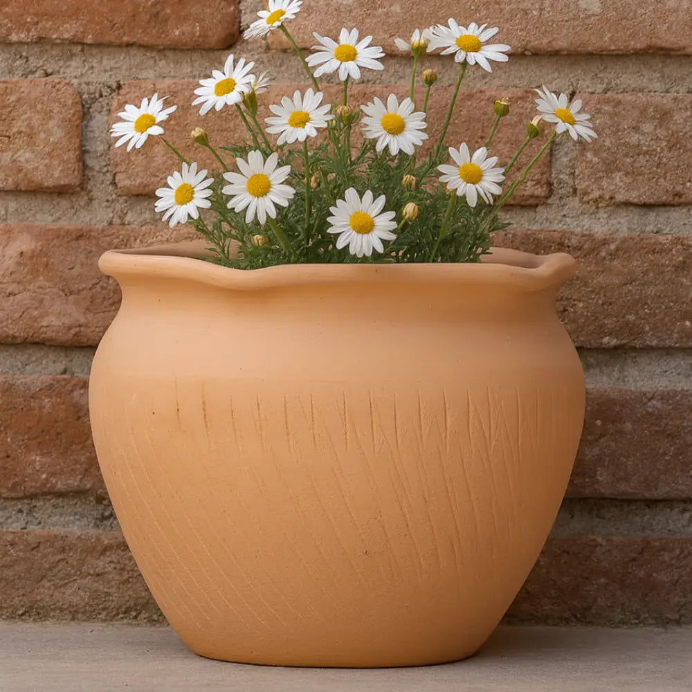 Set de 2 pot de fleur terre cuite diamètre 20