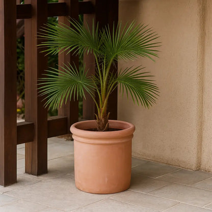 Pot de fleur terre cuite diamètre 40