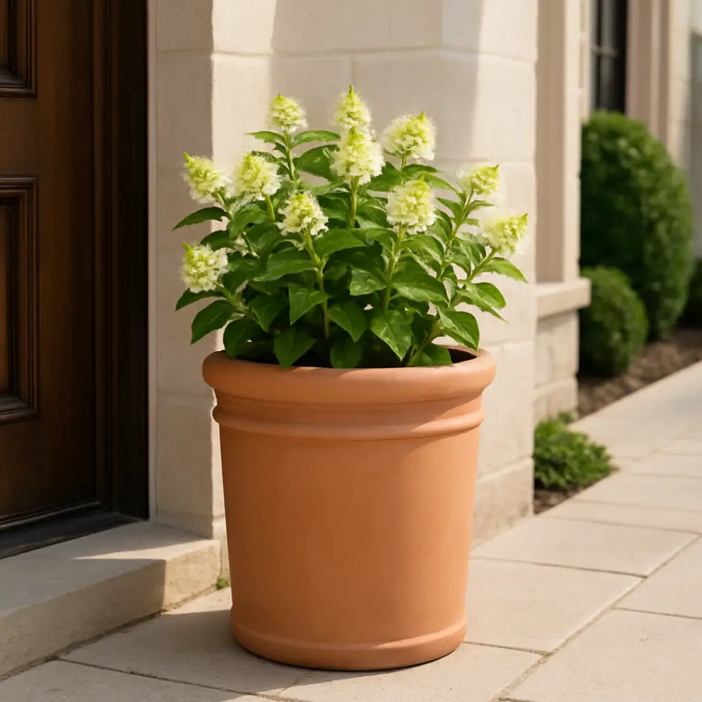 Pot de fleur terre cuite diamètre 40