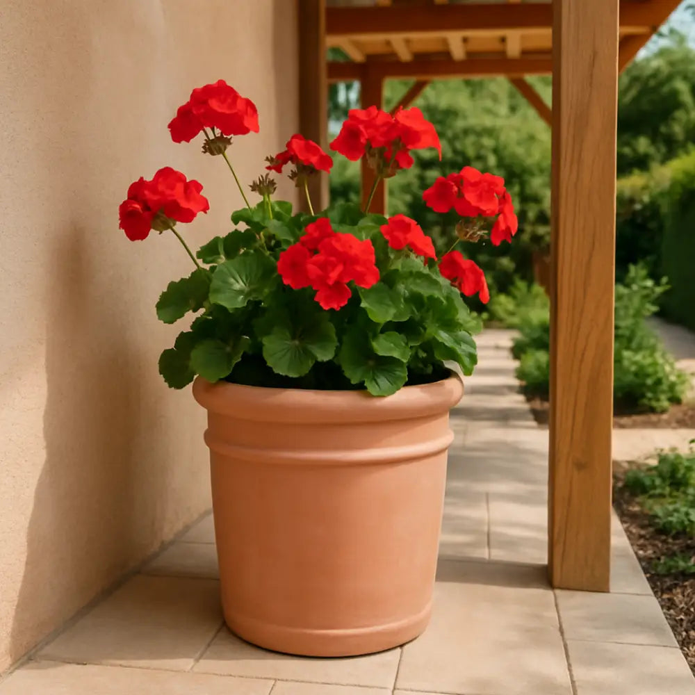 Pot de fleur terre cuite diamètre 40