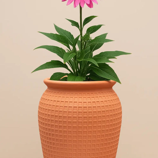 Pot de fleur terre cuite grande taille