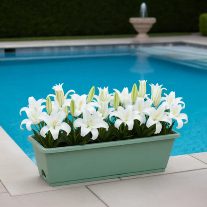 Pot de fleur vert rectangulaire