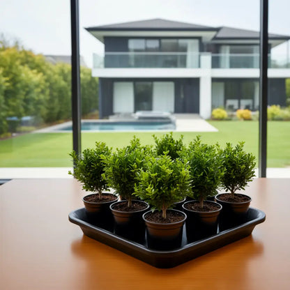 Soucoupe pot de fleur carré 50 cm