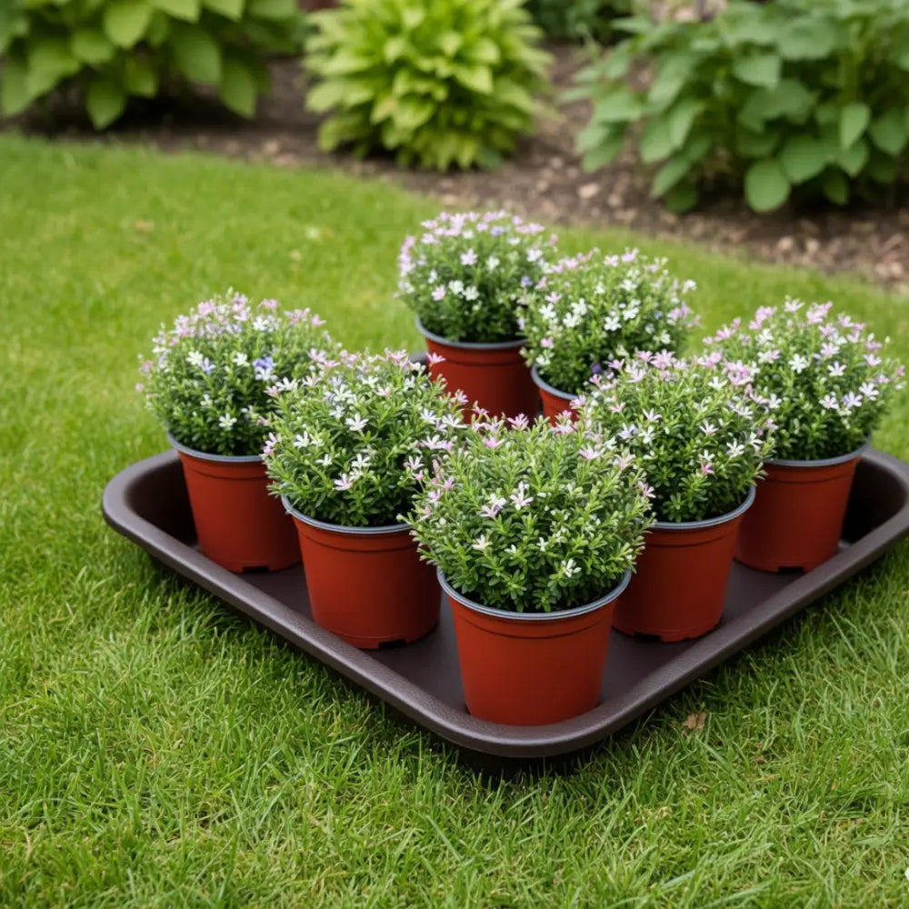 Soucoupe pot de fleur carré 50 cm