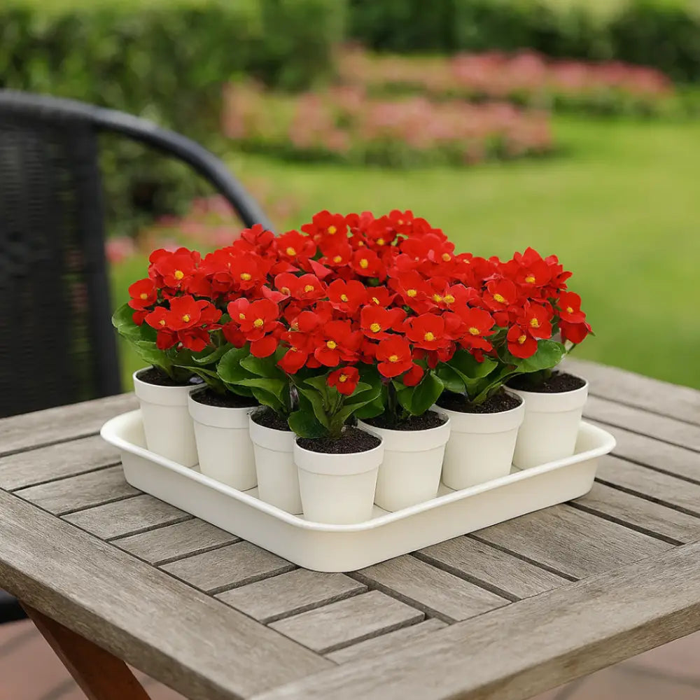 Soucoupe pot de fleur carré 50 cm