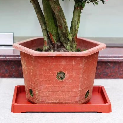 Soucoupe pot de fleur rectangulaire 60 cm