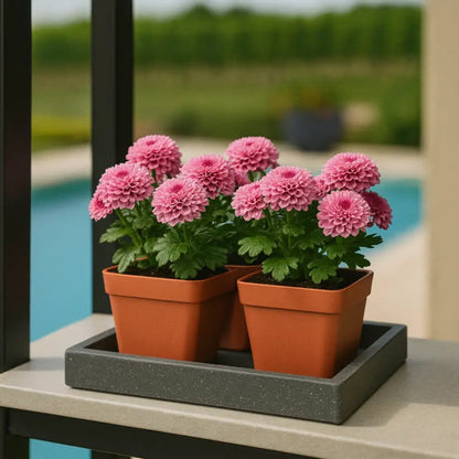 Soucoupe pour pot de fleur carré