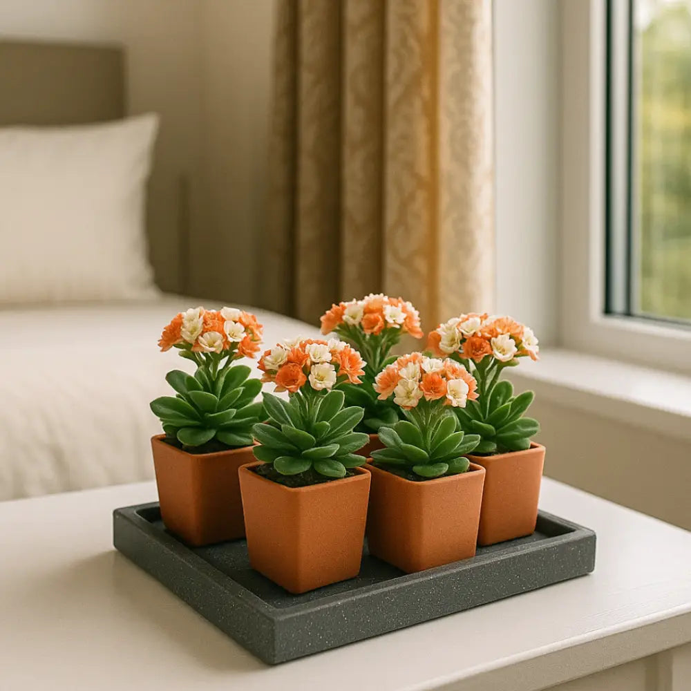 Soucoupe pour pot de fleur carré