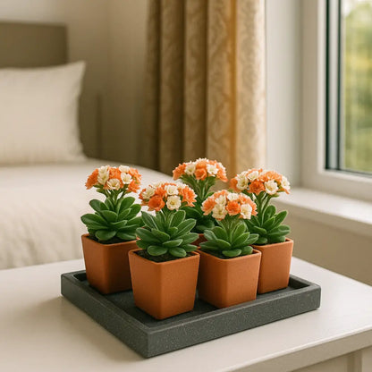 Soucoupe pour pot de fleur carré