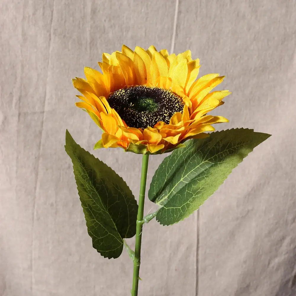Tournesol artificiel