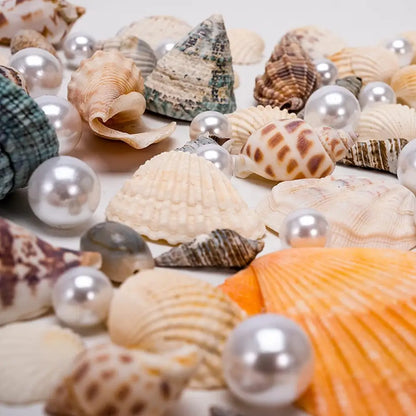 Vase avec coquillage