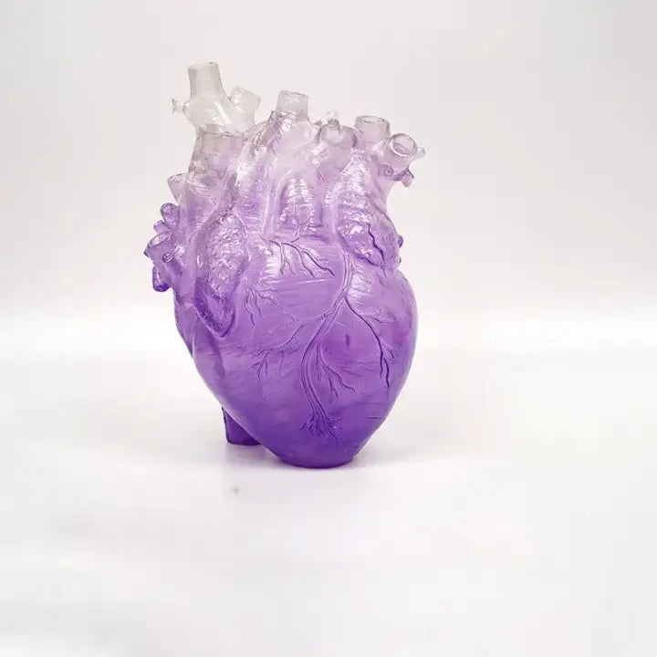 Vase coeur organe