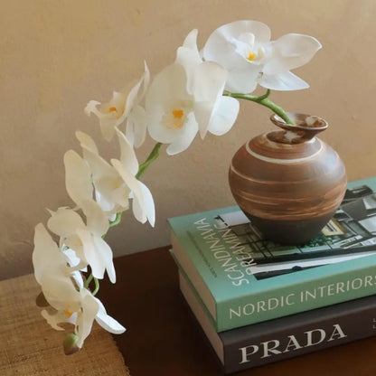 Vase terre cuite ancien